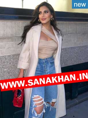 Independent Call Girls In ghaziabad